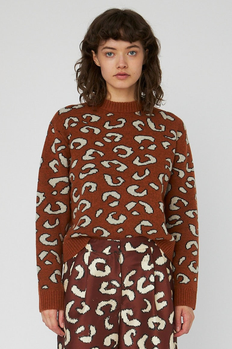 Pulls bruin STELLA NOVA