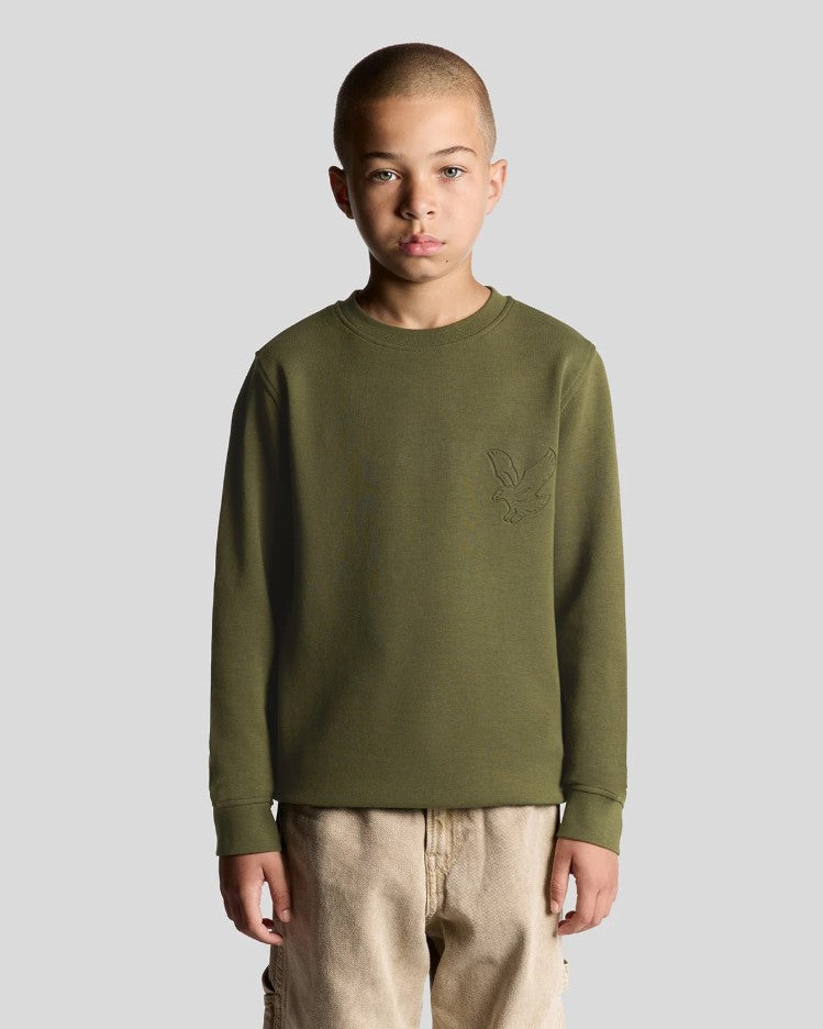 Sweaters groen Lyle & Scott