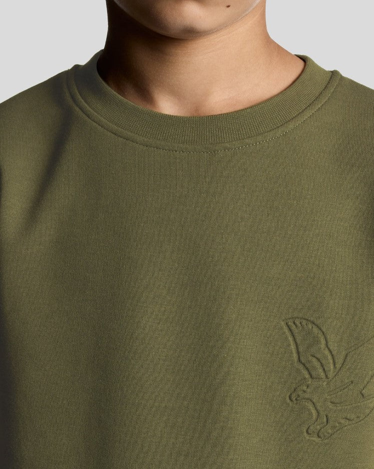 Sweaters groen Lyle & Scott