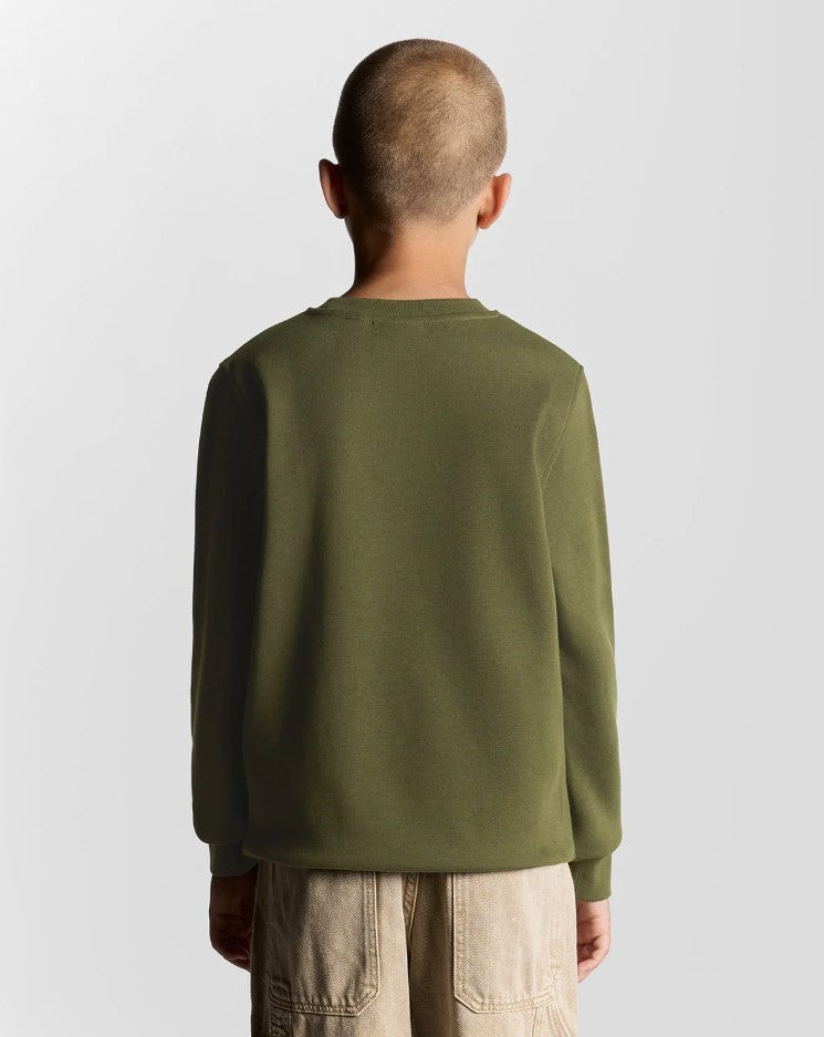 Sweaters groen Lyle & Scott