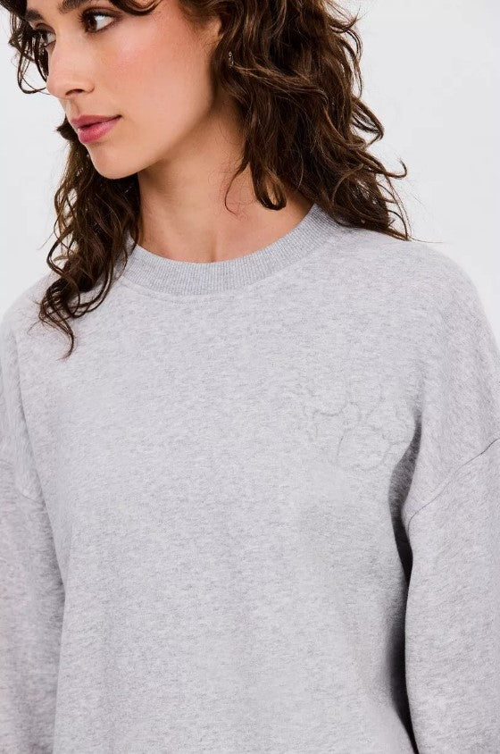 Sweaters grijs CKS