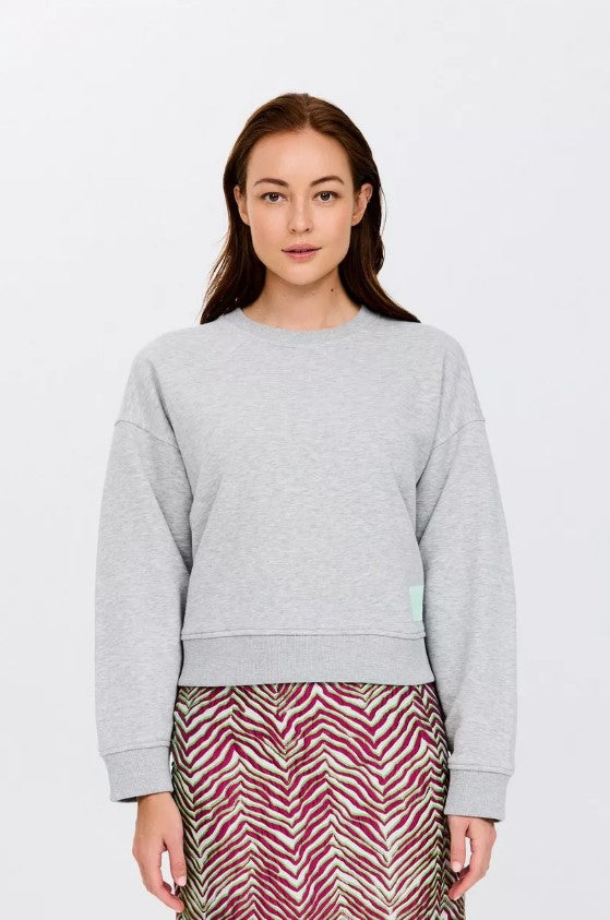 Sweaters grijs CKS