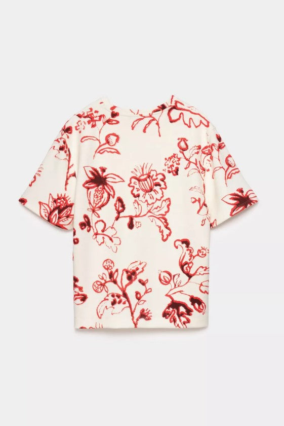 T-shirts korte mouw rood CKS