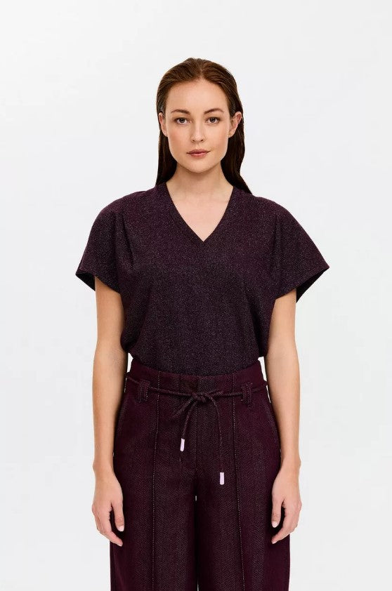 T-shirts korte mouw bruin CKS