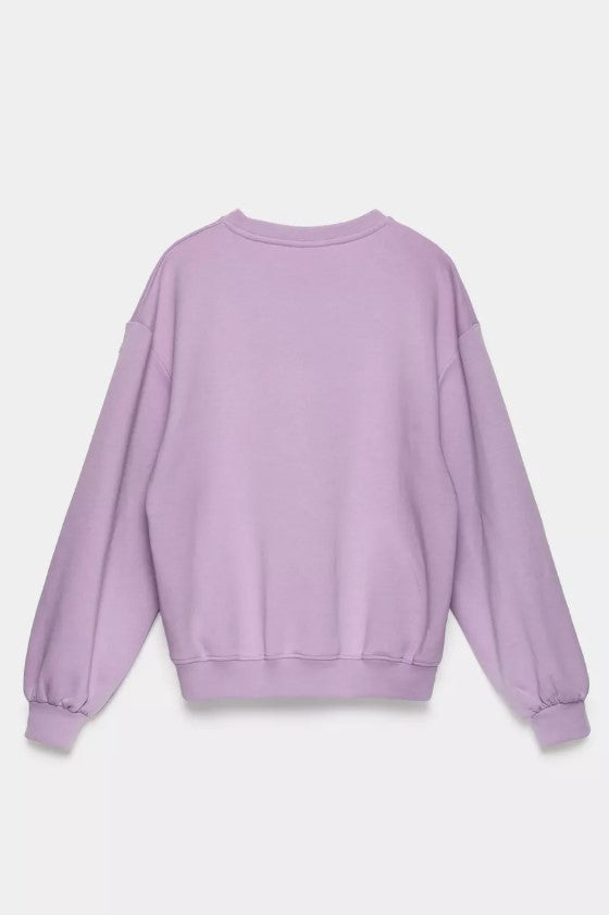Sweaters paars CKS