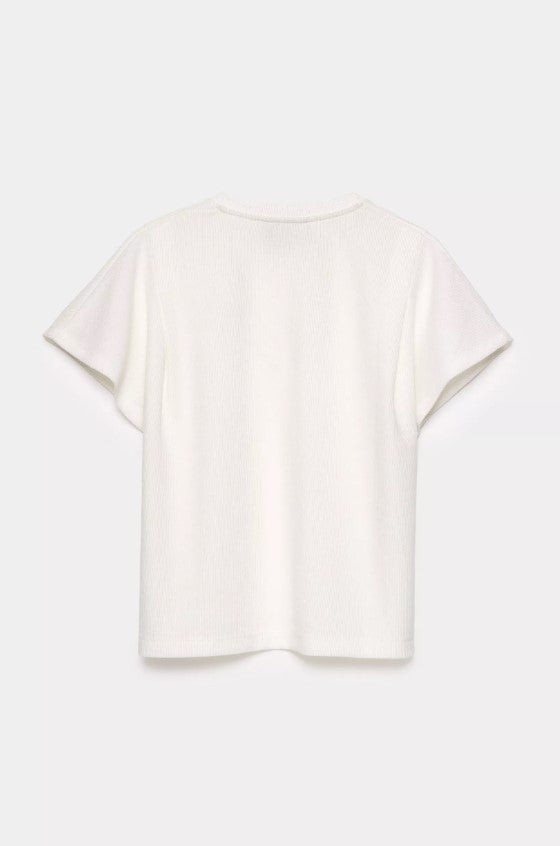 T-shirts korte mouw wit CKS