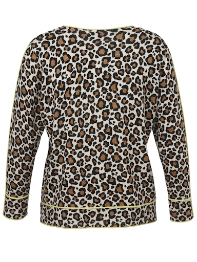 Pulls bruin Via Appia Due