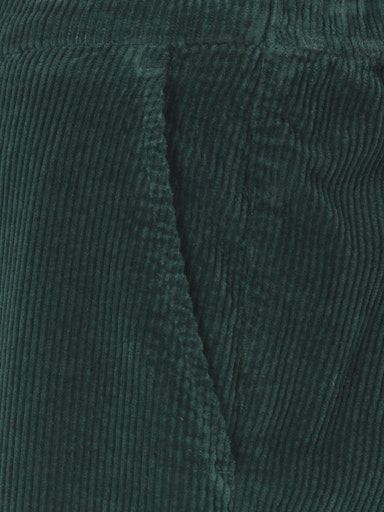 Broeken groen eiszeit