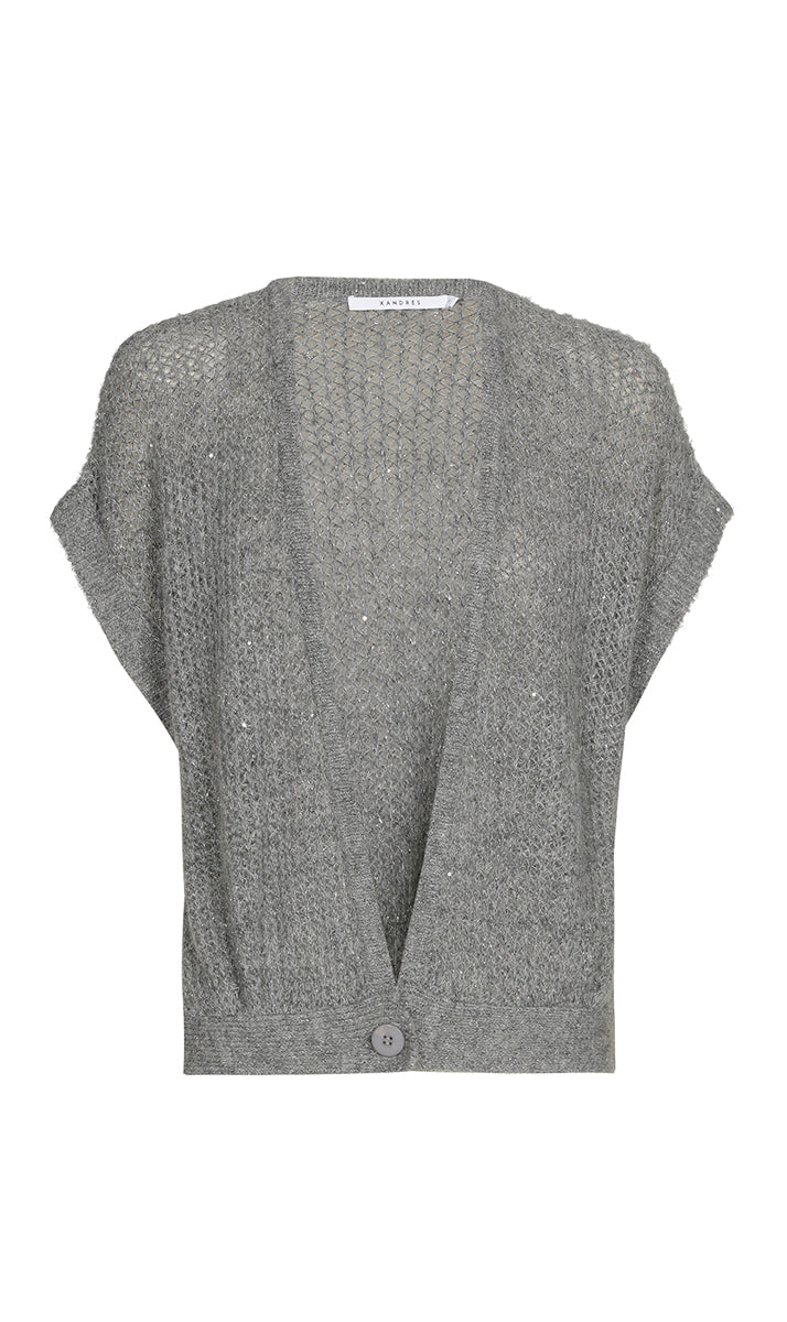 Cardigans grijs Xandres