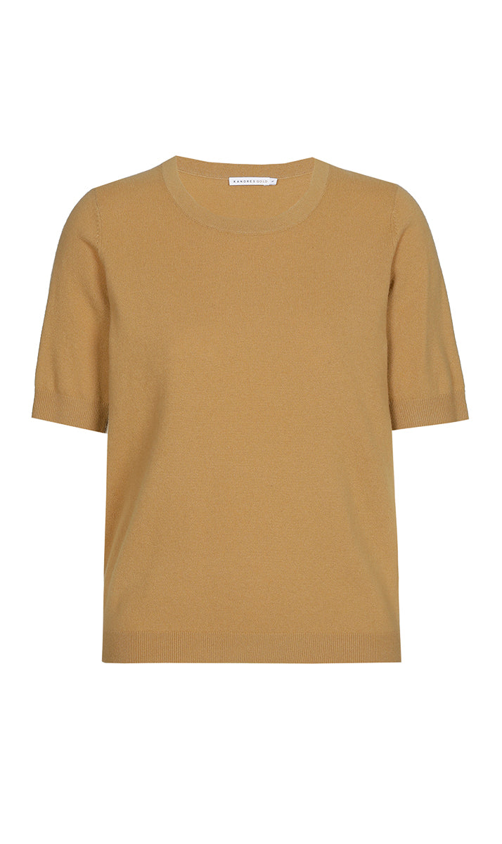 Pulls bruin Xandres Gold