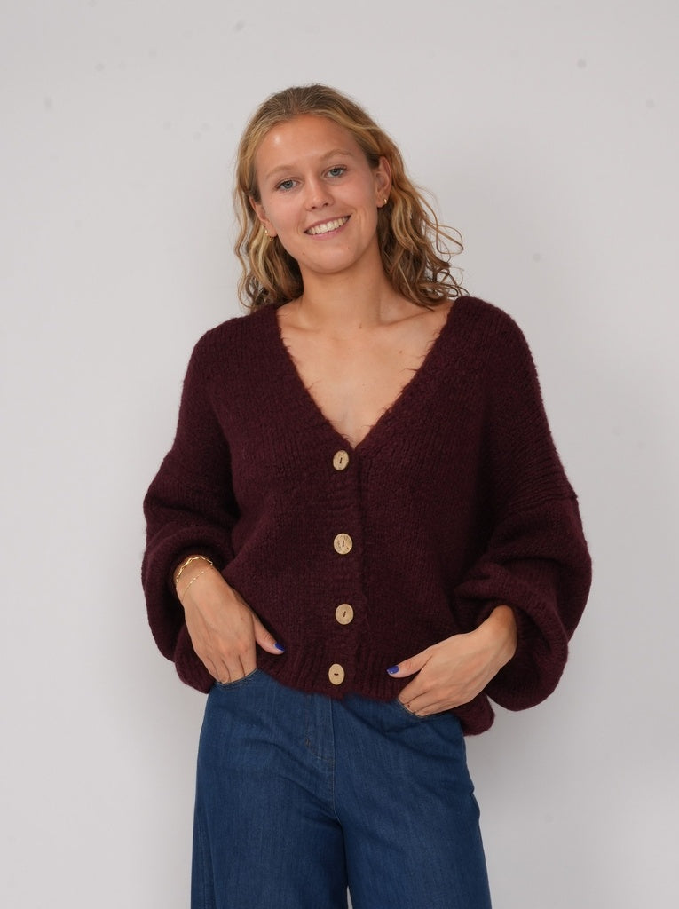 Cardigans paars BLACK ROSE