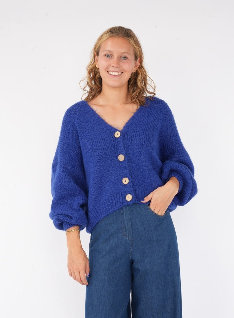 Cardigans blauw BLACK ROSE