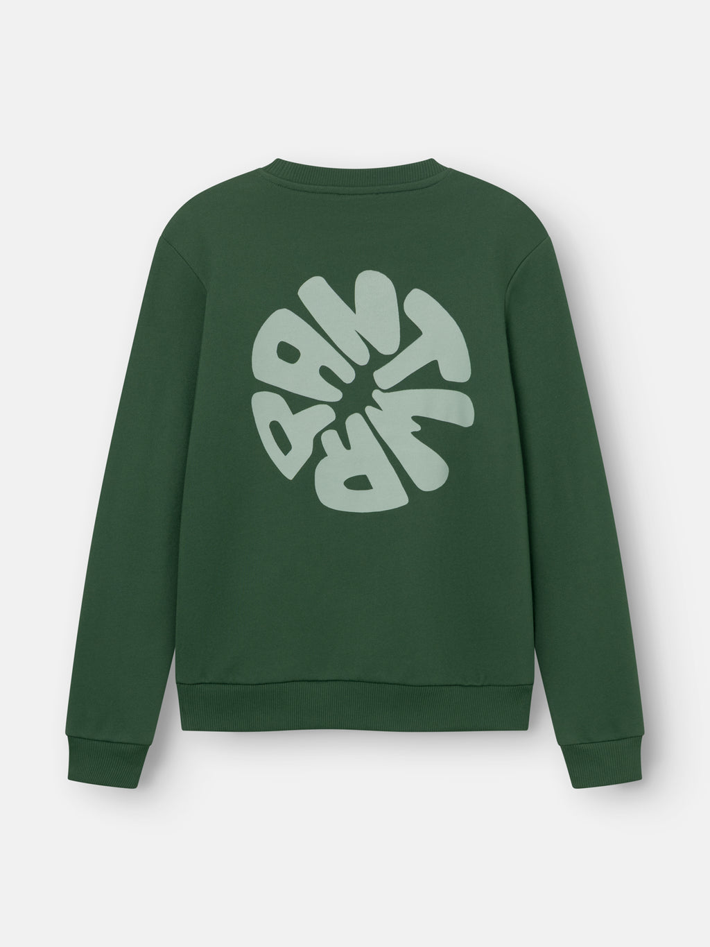 Sweaters groen ANTWRP Junior