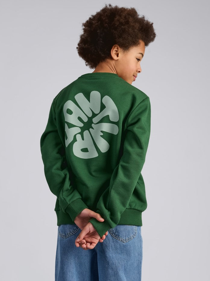 Sweaters groen ANTWRP Junior