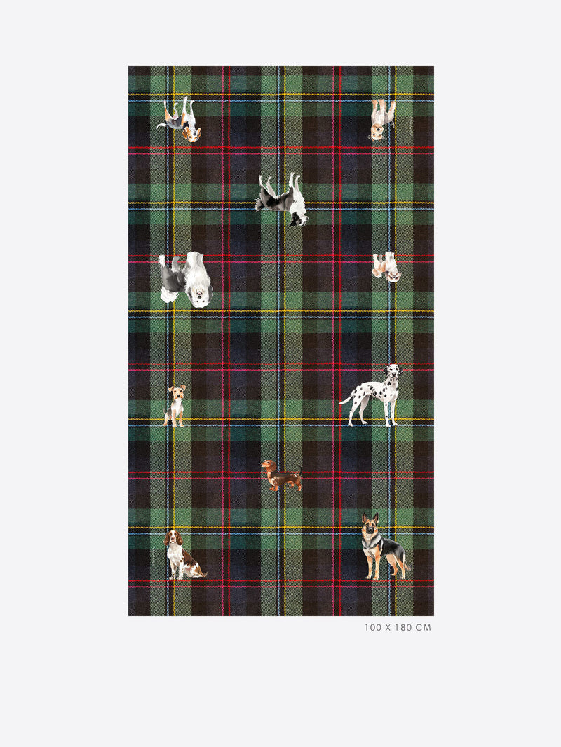 Sjaals multicolor Vilagallo