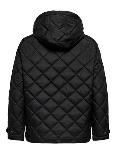 Jassen zwart ONLY Carmakoma