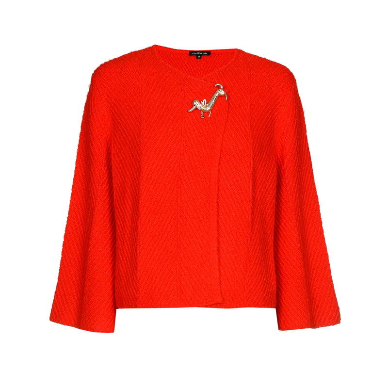 Poncho's rood Caroline Biss