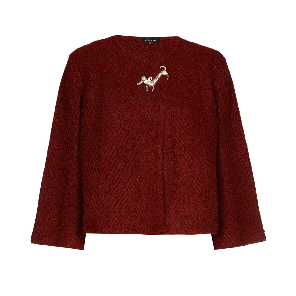 Poncho's rood Caroline Biss