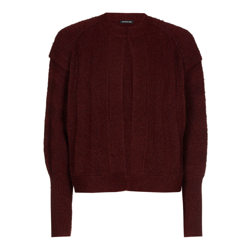 Cardigans paars Caroline Biss