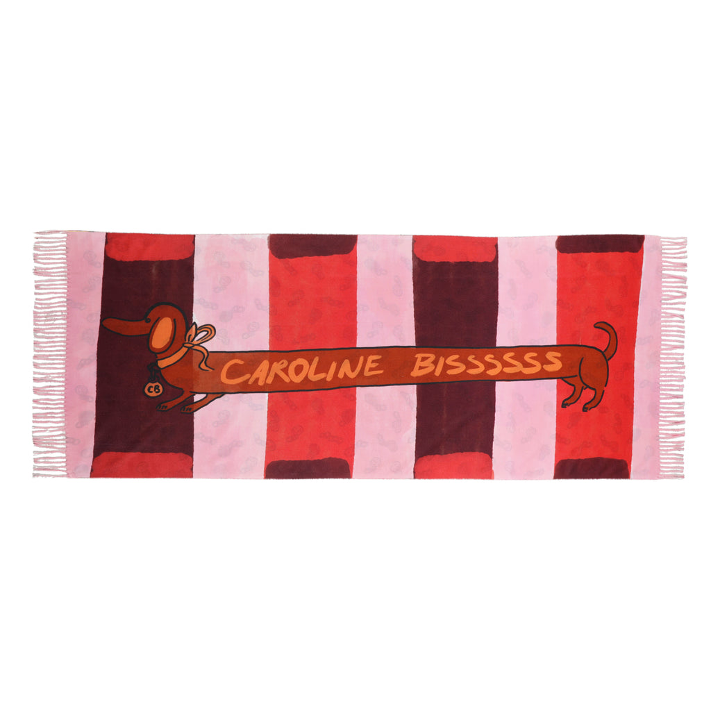 Sjaals multicolor Caroline Biss