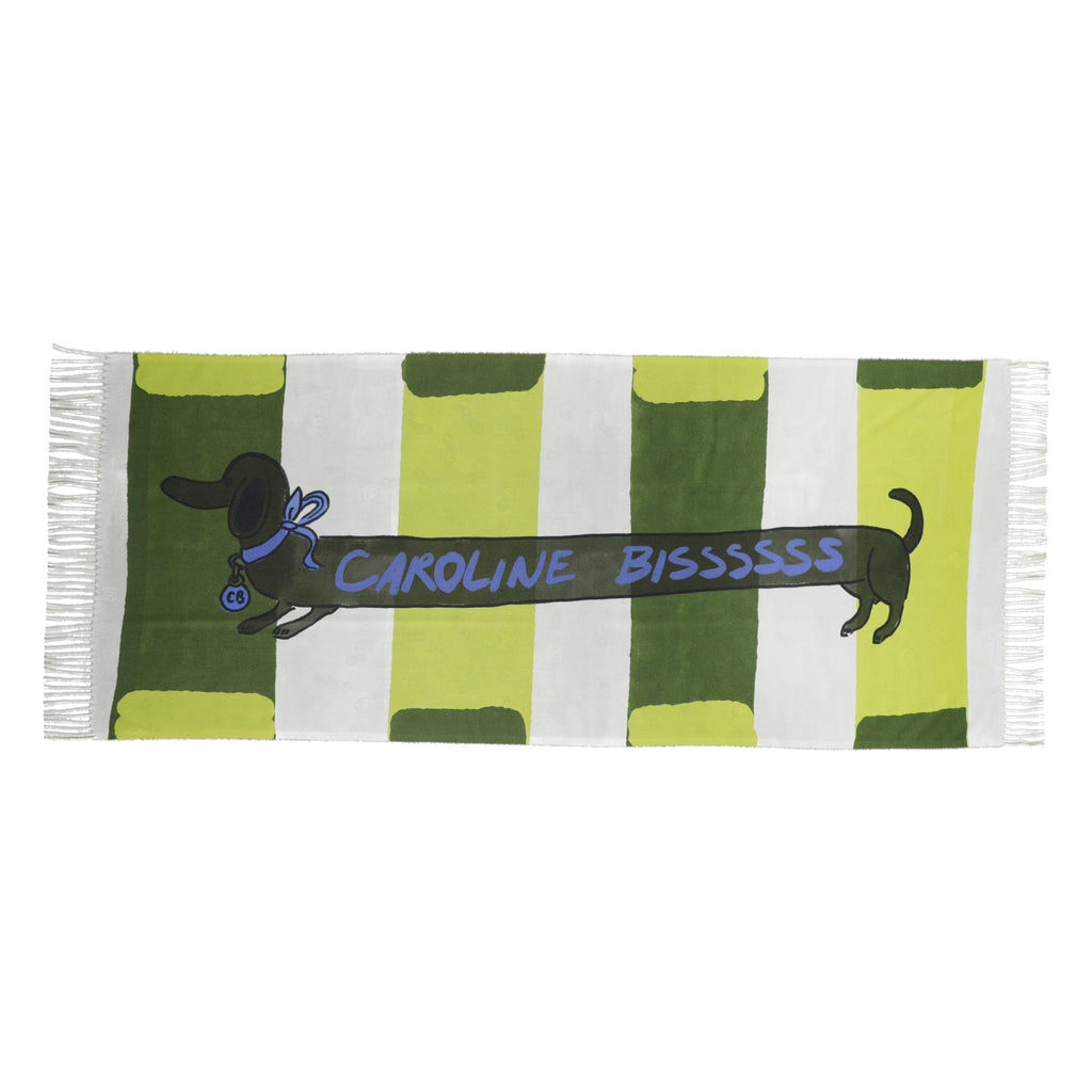 Sjaals multicolor Caroline Biss