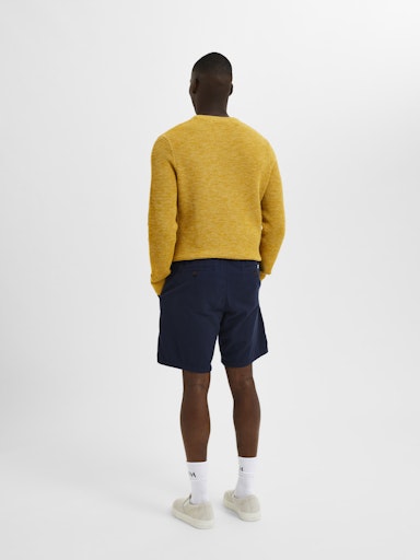 Shorten blauw Selected HOMME