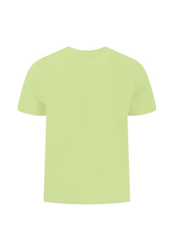 T-shirts korte mouw groen Fynch-Hatton