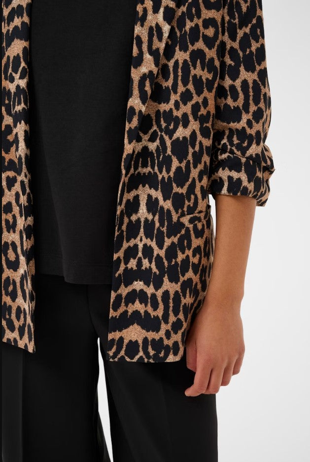 Blazers bruin Soaked In Luxury