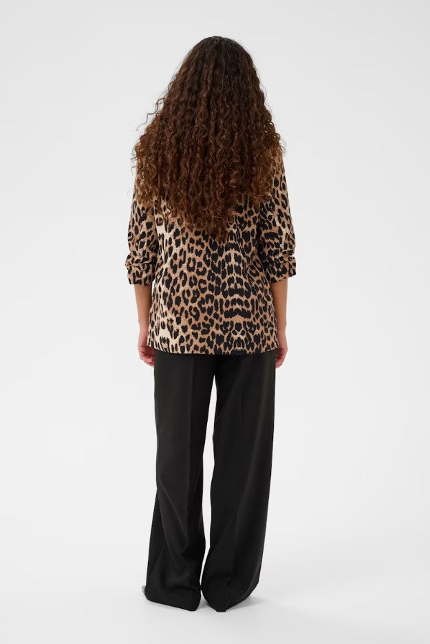 Blazers bruin Soaked In Luxury