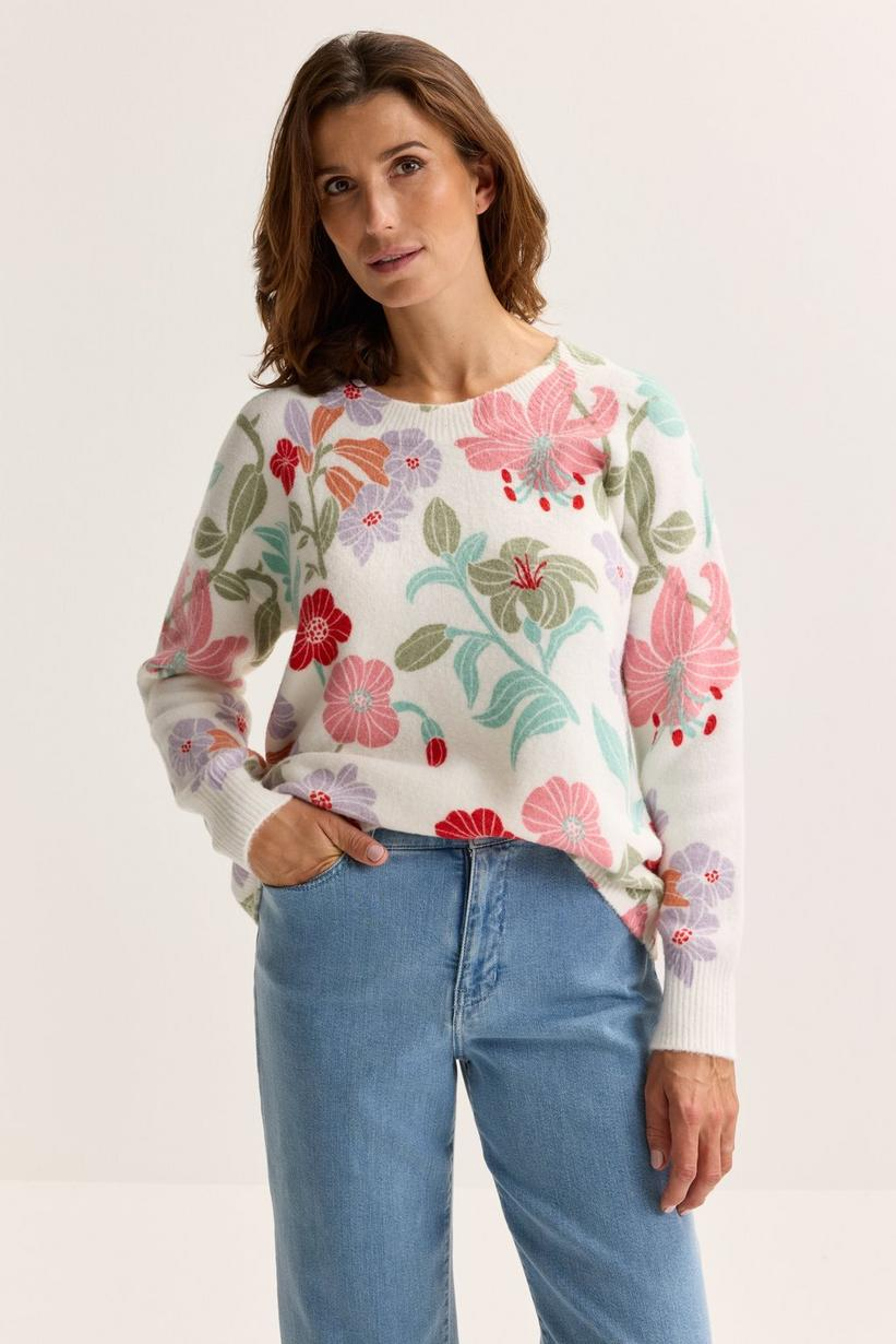 Pulls multicolor Mayerline