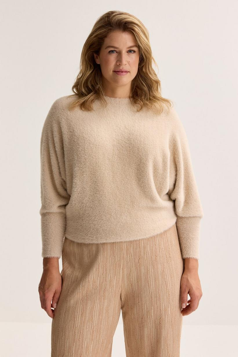 Pulls bruin Mayerline