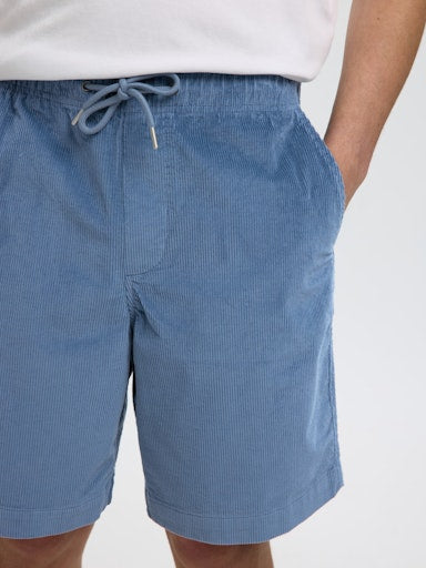 Shorten blauw Selected HOMME