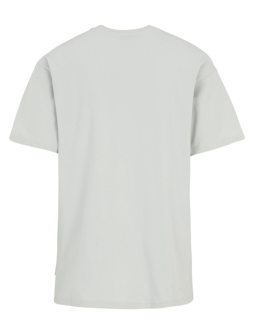 T-shirts korte mouw grijs Iriedaily