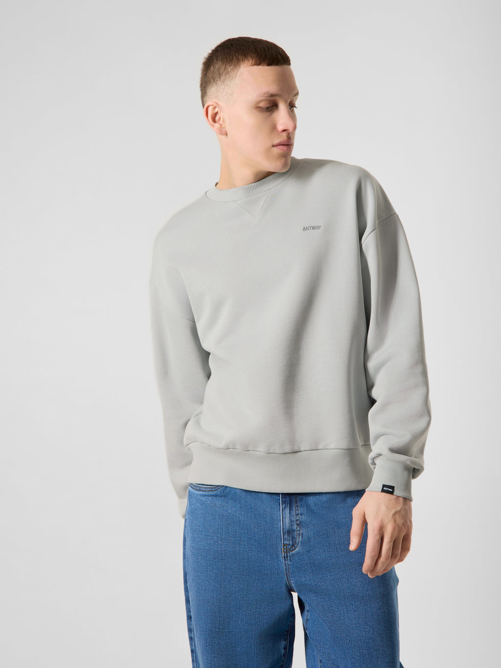 Sweaters grijs ANTWRP