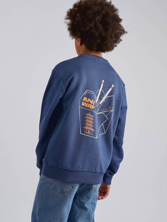 Sweaters blauw ANTWRP Junior