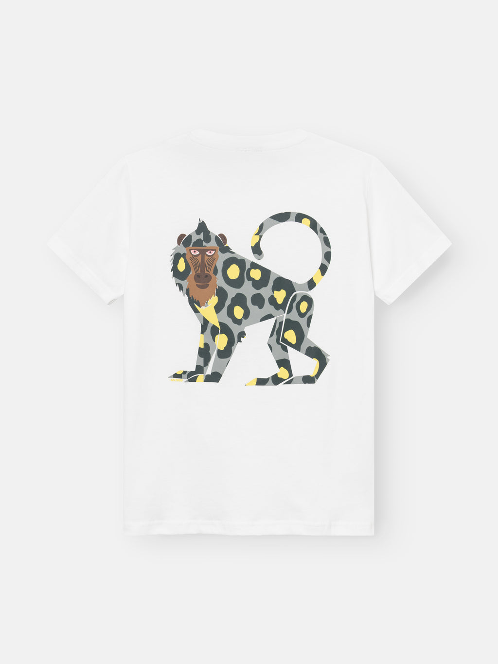 T-shirts korte mouw wit ANTWRP Junior