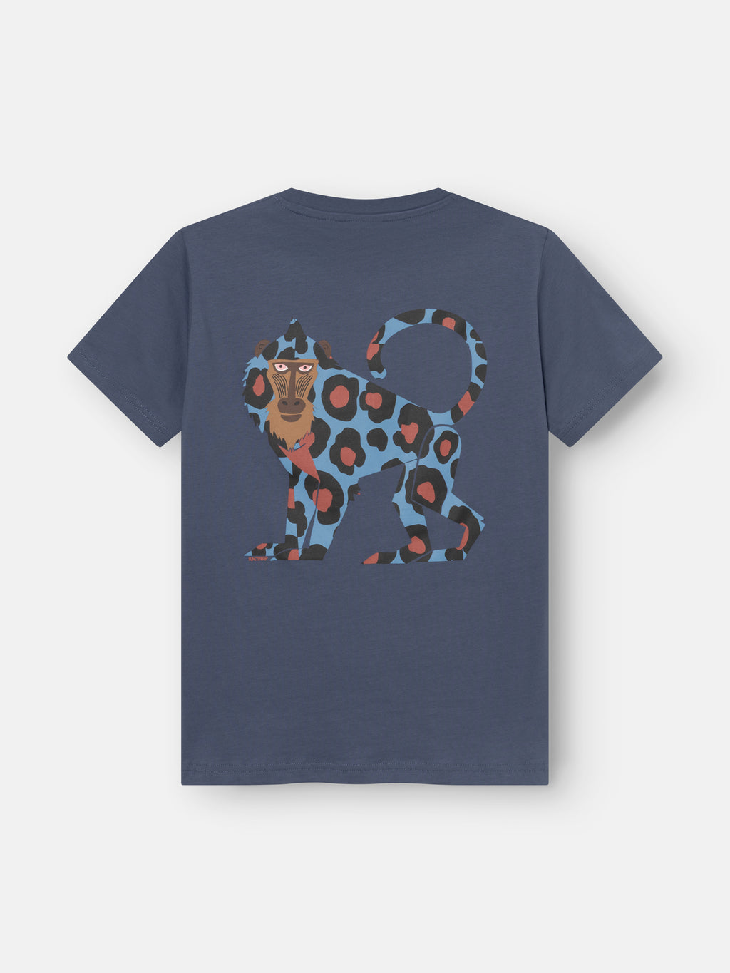T-shirts korte mouw blauw ANTWRP Junior