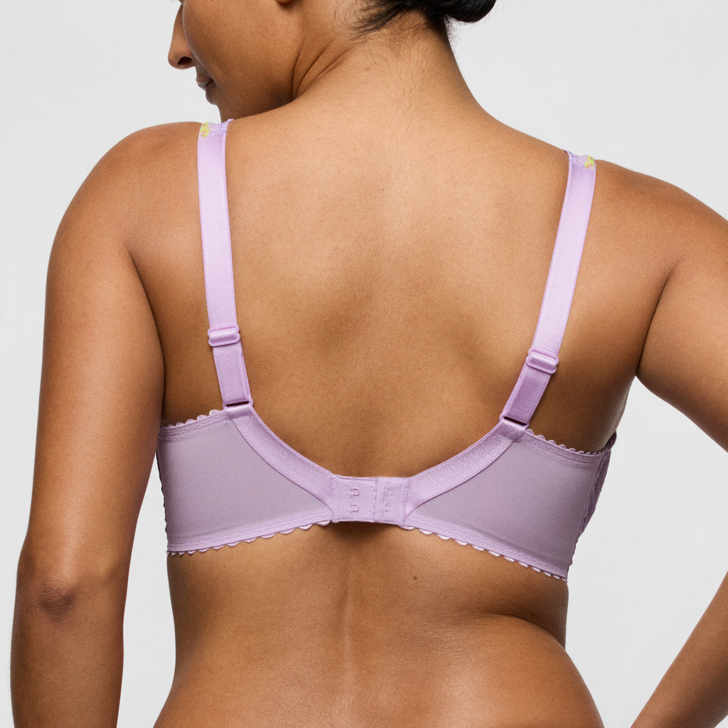 BH's multicolor Prima Donna