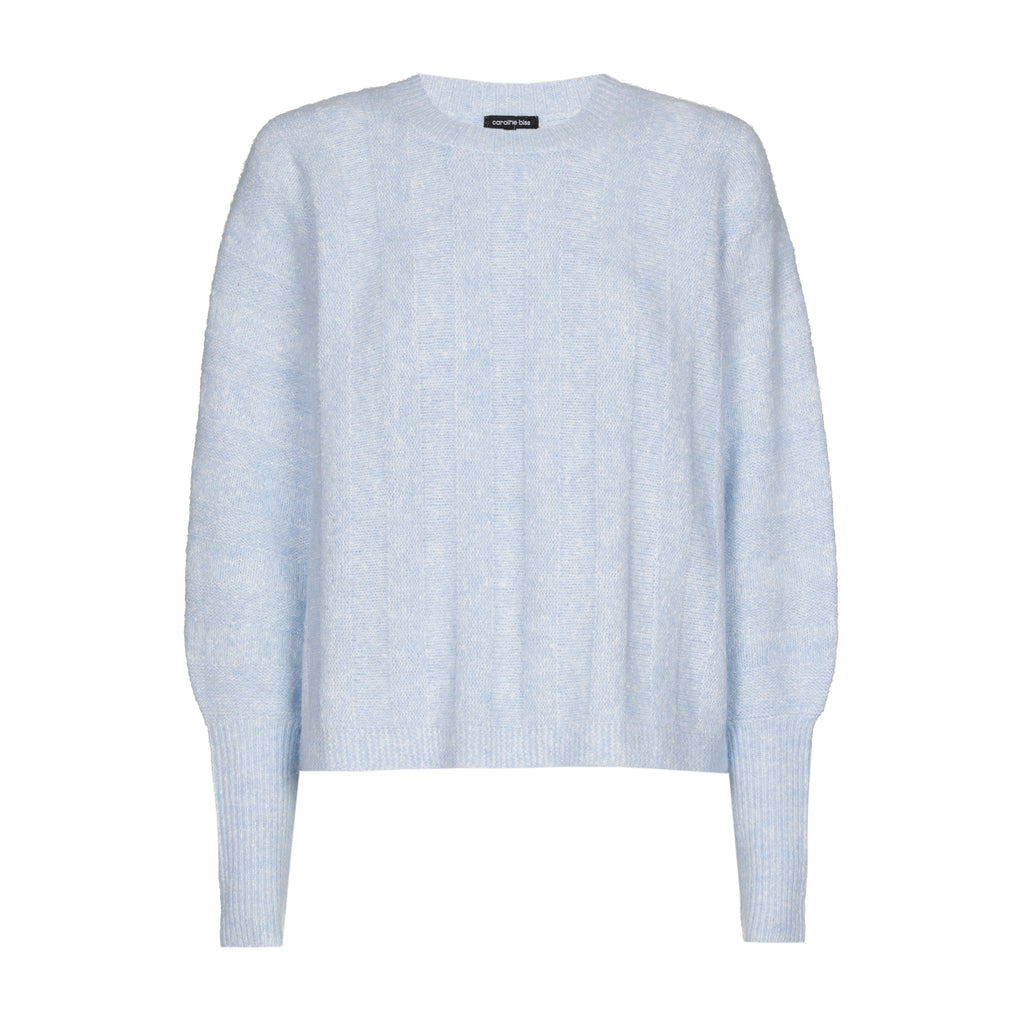 Pulls blauw Caroline Biss