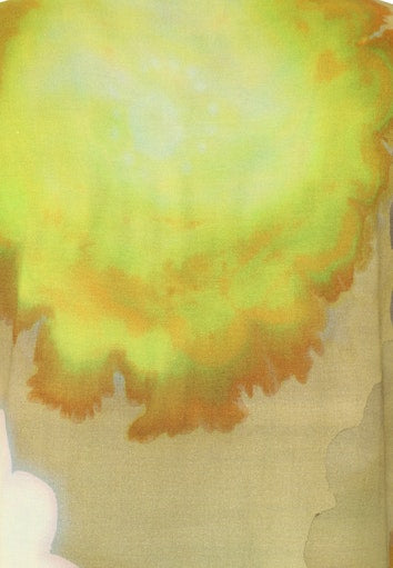 T-shirts korte mouw groen Doris Streich