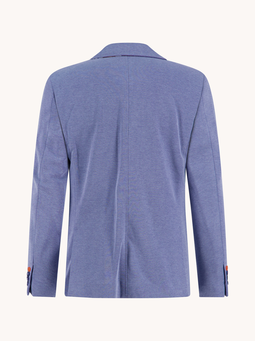 Blazers blauw A Fish Named Fred