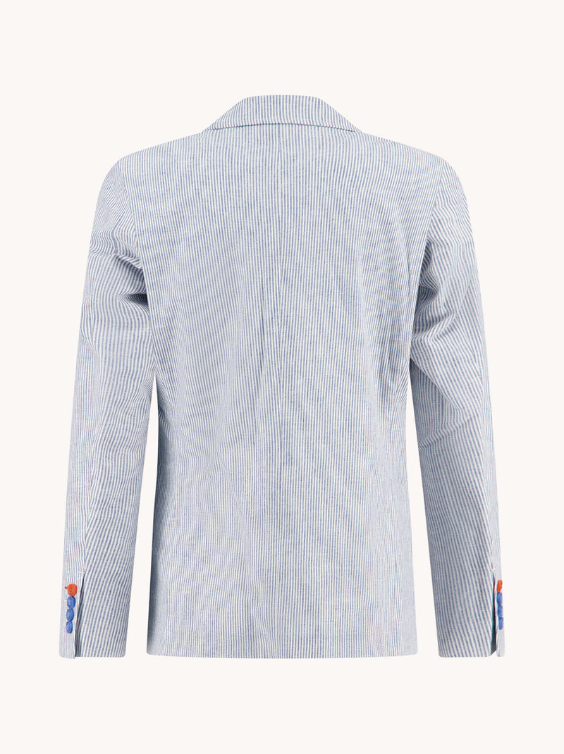 Blazers blauw A Fish Named Fred