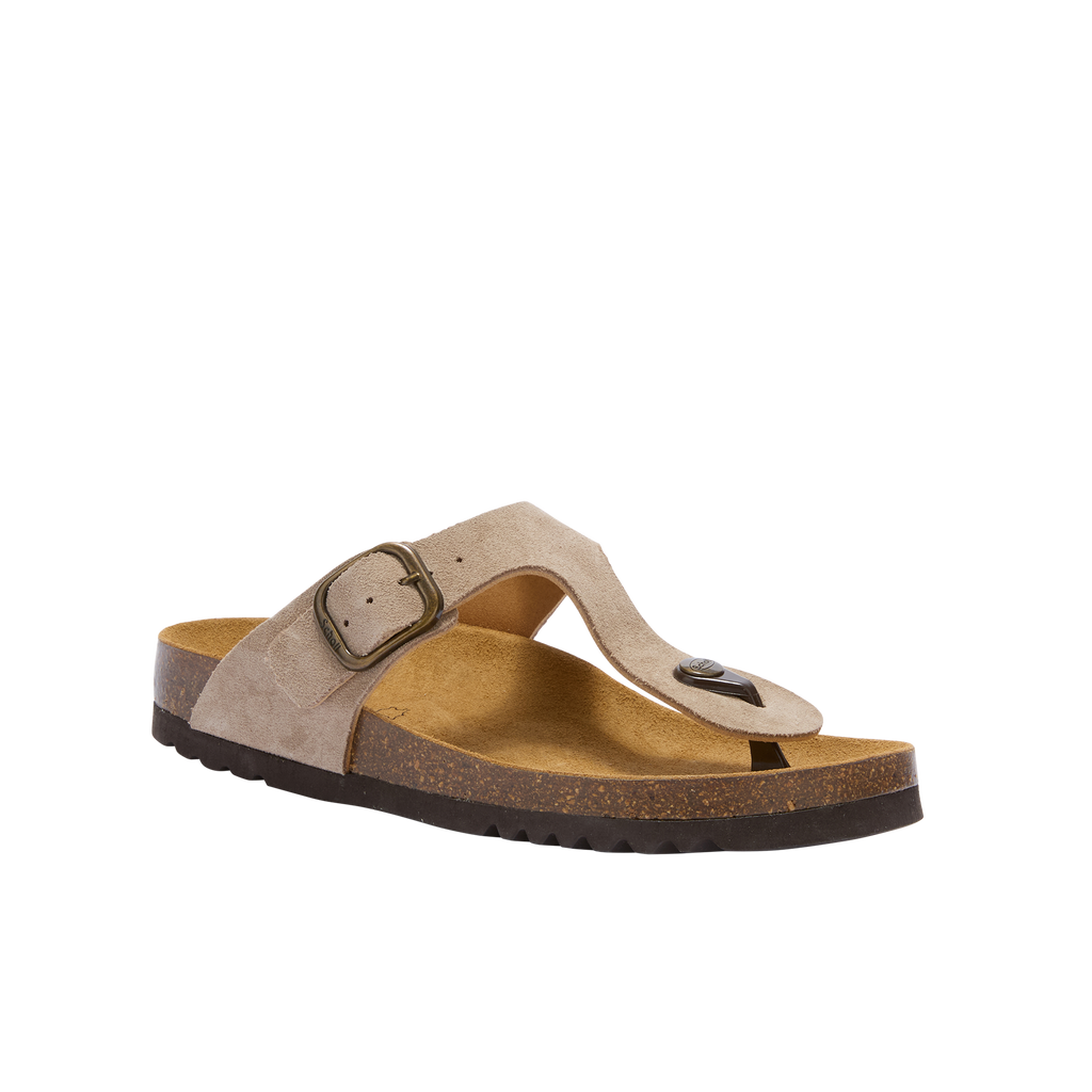 Slippers beige Scholl