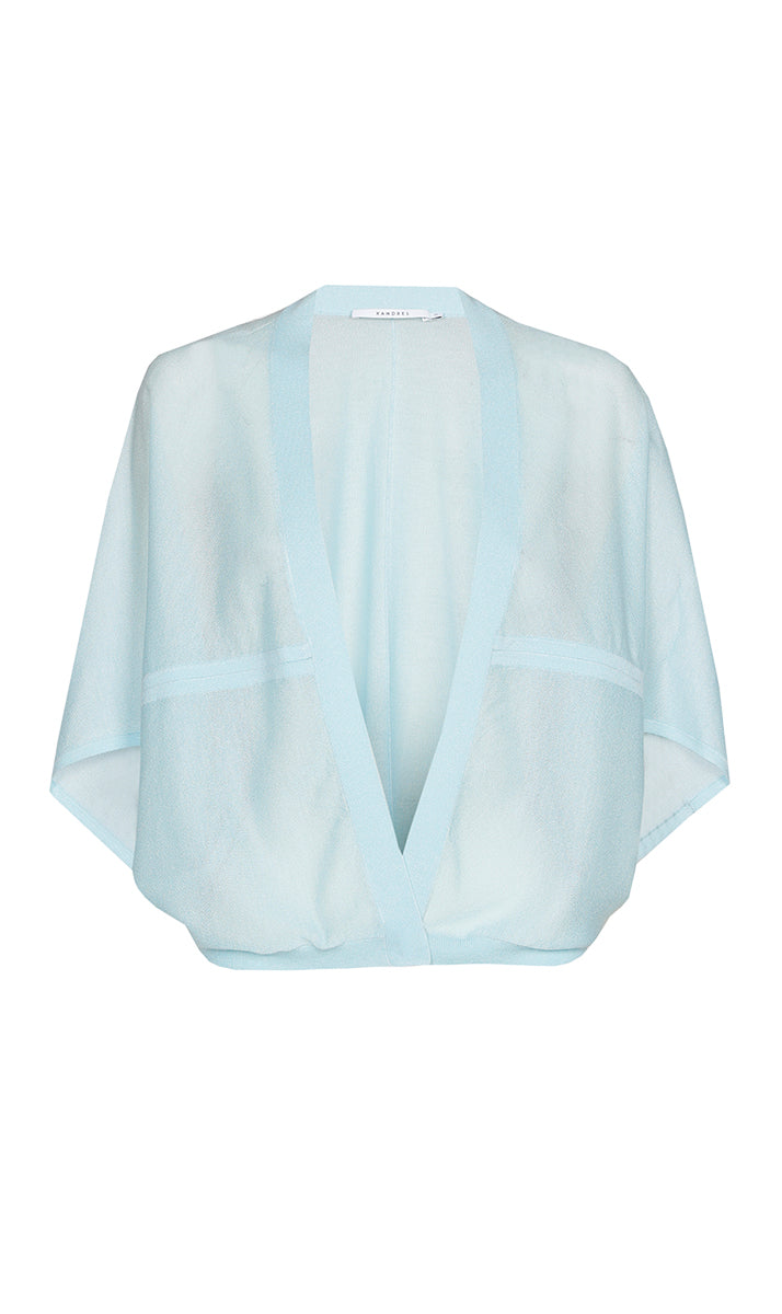 Cardigans blauw Xandres