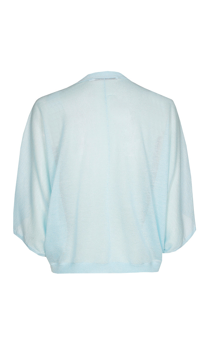 Cardigans blauw Xandres