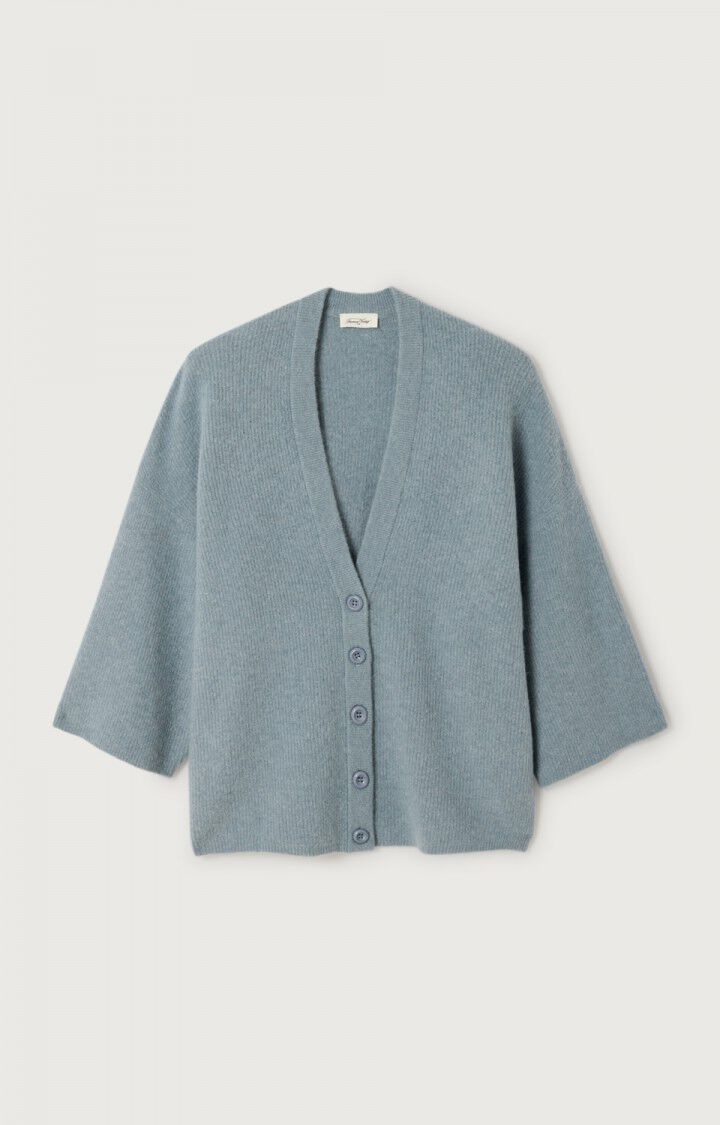 Cardigans blauw American Vintage