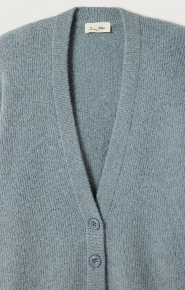Cardigans blauw American Vintage