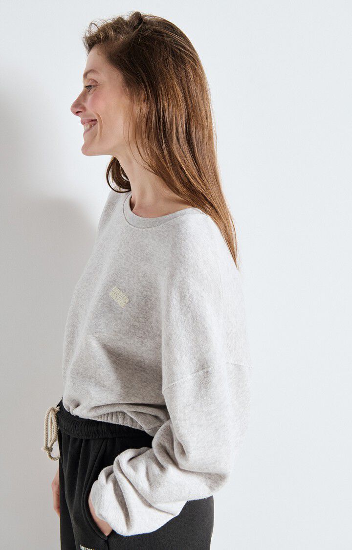 Sweaters grijs American Vintage