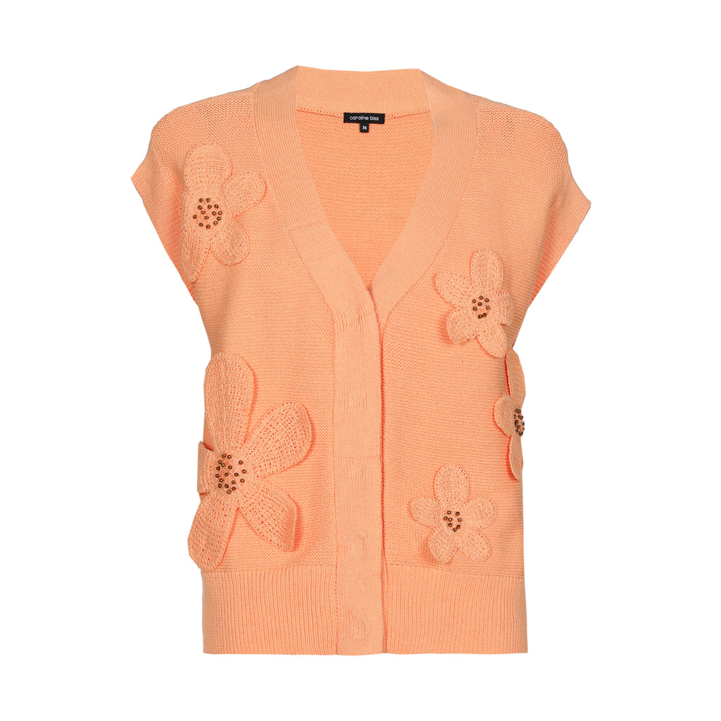 Gilets roze Caroline Biss