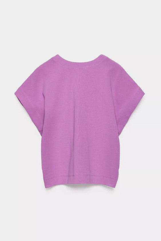 T-shirts korte mouw paars CKS